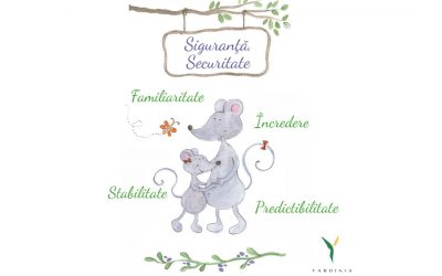 3. Nevoia de siguranță